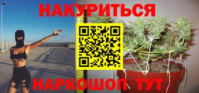 молекула духа Будённовск