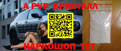 молекула духа Будённовск