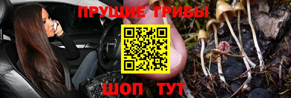 Псилоцибиновые грибы прущие грибы  Галлюциногенные грибы GOLDEN TEACHER  Рузаевка  Вход с VPN 